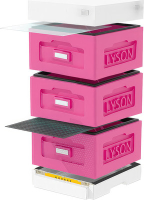 Улей Lyson Рута На 10 Рамок / WR3PW (розовый/неокрашенный)