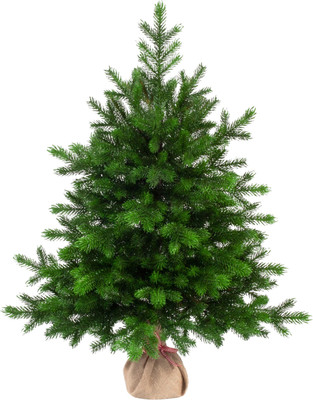 Ель искусственная Царь елка Астерия премиум 90см 3D АСТР/ПР-90