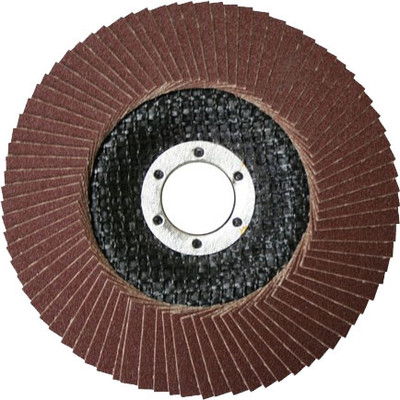 Шлифовальный круг Bivol Лепестковый торцевой 125x22.2 / BVL29125P40