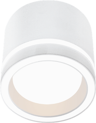 Точечный светильник Wolta WSL-GX53/06W