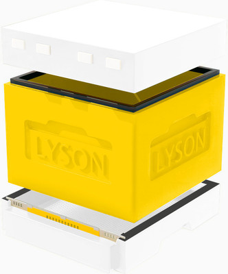 Улей Lyson Дадан На 12 Рамок / WT60YW (желтый/неокрашенный)