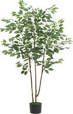 Искусственное растение Sundays Home Тонкоствольный баньян / BC10102 (180см)