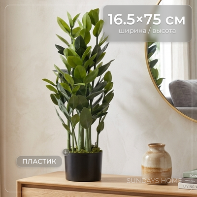 Искусственное растение Sundays Home Денежное дерево / BC10104 (75см)