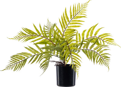 Искусственное растение Sundays Home Волнистая трава / BC10106 (40см)