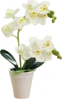 Искусственный цветок Sundays Home Фаленопсис бонсай / BC10108 (40см)