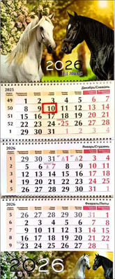 Календарь настенный Типография Победа Год лошади. 2026 год