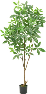 Искусственное растение Sundays Home Денежное дерево / BC10115 (150см)