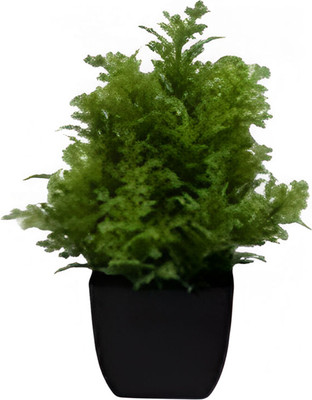 Искусственное растение Sundays Home Мини / BC10121 (20см)