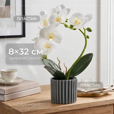 Искусственный цветок Sundays Home Фаленопсис бонсай / BC10127 (32см)