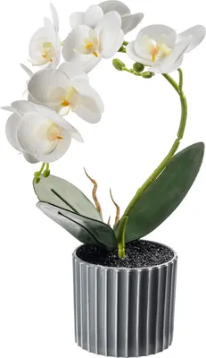 Искусственный цветок Sundays Home Фаленопсис бонсай / BC10127 (32см)