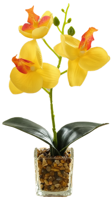 Искусственный цветок Sundays Home Фаленопсис бонсай. Стеклянный горшок / BC10129 желтый (25см)