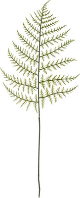 Искусственное растение Sundays Home Лист кипариса / BC10166 (66см)
