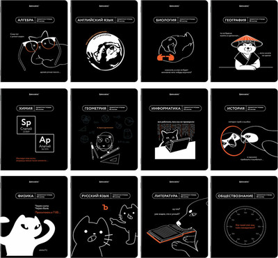 Набор предметных тетрадей Brauberg Мемы / 405172 (12шт)