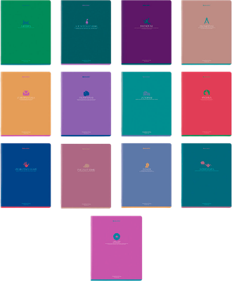 Набор предметных тетрадей Brauberg Monocolor / 405175 (13шт)