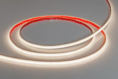 Светодиодная лента Arte Lamp A2448010-02-4K