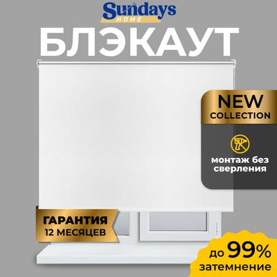 Рулонная штора Sundays Home LM 167-01 100х160 (белый)