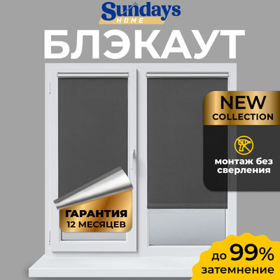 Рулонная штора Sundays Home LM 167-07 43х160 (темно-серый)