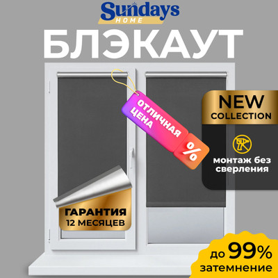 Рулонная штора Sundays Home LM 167-07 52х160 (темно-серый)
