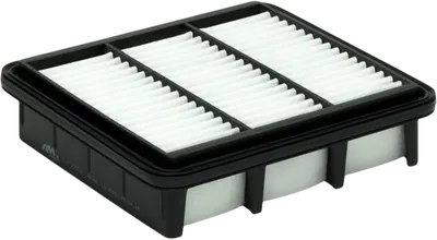 Воздушный фильтр AM Point LX 2752
