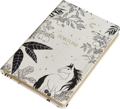 Ежедневник InFolio Fortune 2026 / I1723 (белый)