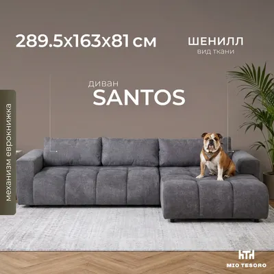 Диван угловой Mio Tesoro Santos 4УС (Santos 23)