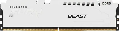 Оперативная память DDR5 Kingston KF556C36BWE-32