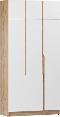 Шкаф Eligard Aura 3Dа (дуб вотан/белый)