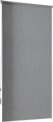 Рулонная штора Jalux Скай 19 95x160 (темно-серый)