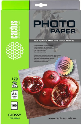 Фотобумага Cactus CS-GA4170100