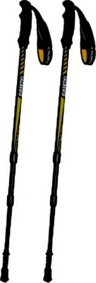 Палки для скандинавской ходьбы Talberg Classic Pole (черный)