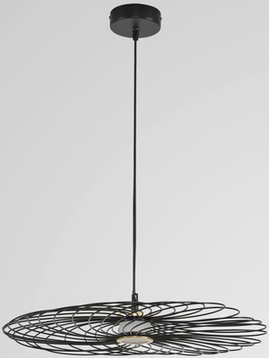 Потолочный светильник Lumion Camomile 8379/10L