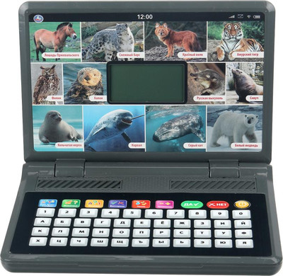 Развивающая игрушка Умка Ноутбук с обучающим LCD экраном / HT955-R4