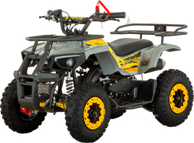 Квадроцикл ZeuS JuniorDrive ZU49 (желтый)