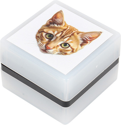 Фломастер-штамп Darvish Мордочка котика / DV-15911C