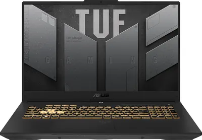 Игровой ноутбук Asus TUF Gaming F17 FX707VUR-HX225