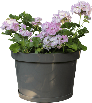 Кашпо Gardenplast Фикус 20 / 00252 (графитовый)