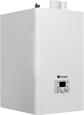 Газовый котел Thermex Coloss SW69 TR303W