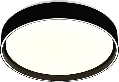 Потолочный светильник Mirastyle LS-2449/500 BK