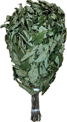 Банный веник ВиноВита Орешник