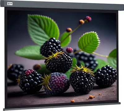 Проекционный экран Cactus CS-PSW-127X127-SG