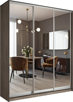 Шкаф-купе Евва АЭП ШК.3.03 176 TS.05 (дуб трюфель/хром)