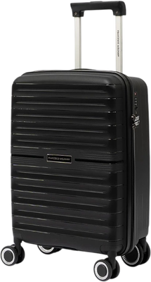 Чемодан на колесах Francesco Molinary 338-1166/3-20BLK (черный)