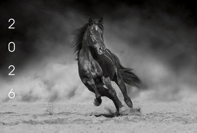 Календарь настенный Listoff Офисный стиль Символ года 1. 2026г / ККТ2601