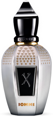 Парфюмерная вода Xerjoff Blends Tony Iommi Monkey Special (50мл)