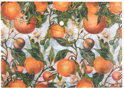 Папка-конверт Bruno Visconti Flora. Oranges / 14-036/20
