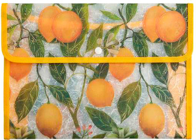 Папка-конверт Bruno Visconti Flora. Lemons / 14-030/15