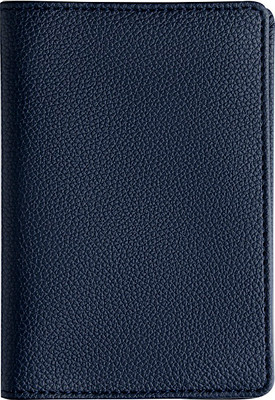 Обложка на паспорт Bruno Visconti 3-619/04 (синий)
