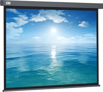 Проекционный экран Cactus Wallscreen CS-PSW-104x186-SG