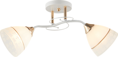 Потолочный светильник Mirastyle WX-6411/2 WH+FG