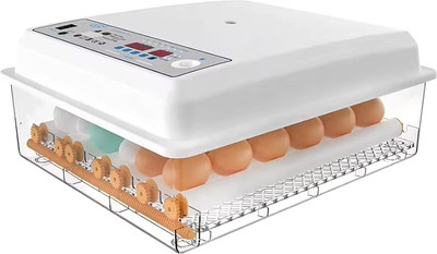 Инкубатор для животных Classmark С терморегулятором / X24130-1 (36шт)